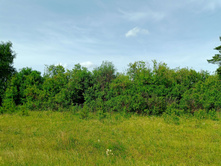 20250612 ������-600 ���������� 094711.jpg