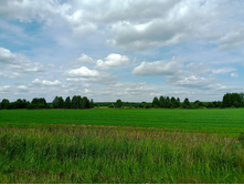 20250629 ����� ����� 132753.jpg