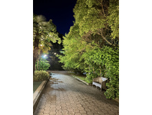 2025-07-07 07-44-58 (106).jpeg