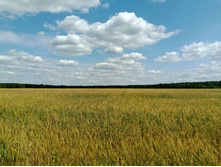 20250629 ����� ����� 124202.jpg