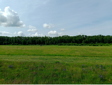 20250612 ������-600 ���������� 085149.jpg