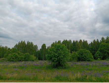 20250612 ������-600 ���������� 182415.jpg