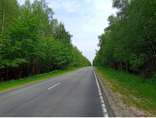 20250613 ������-600 ���������� 095200.jpg