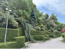 2025-07-07 07-44-58 (12).jpeg