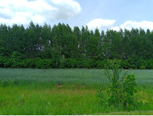 20250612 ������-600 ���������� 122827.jpg