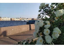 IMG 20250615 191040.jpg