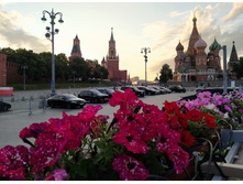 IMG 20250616 202009.jpg