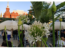 IMG 20250616 195131.jpg