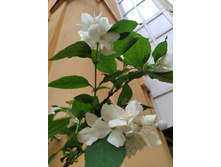 IMG 20250611 193916.jpg