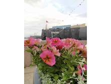 IMG 20250613 184352.jpg