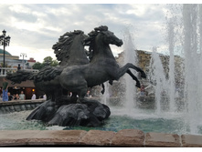 IMG 20250616 185044.jpg