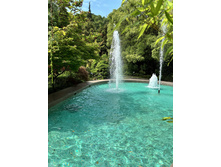 2025-07-07 07-44-58 (20).jpeg