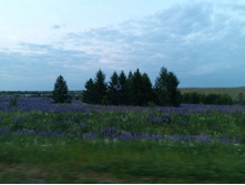 20250612 ������-600 ���������� 203652.jpg