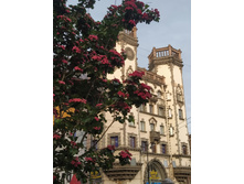 IMG 20250612 211841.jpg