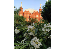 IMG 20250616 195203.jpg