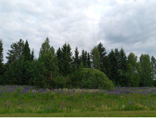 20250612 ������-600 ���������� 182320.jpg