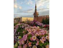 IMG 20250616 202216.jpg