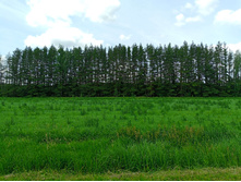 20250612 ������-600 ���������� 121759.jpg