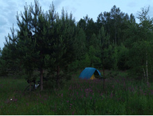 20250612 ������-600 ���������� 205953.jpg