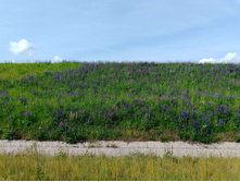 20250612 ������-600 ���������� 085352.jpg