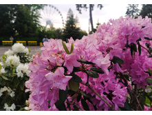 IMG 20250613 201828.jpg