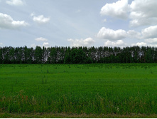 20250612 ������-600 ���������� 121453.jpg