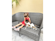 2025-07-07 07-44-58 (52).jpeg