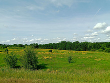 20250612 ������-600 ���������� 094147.jpg