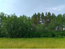 20250612 ������-600 ���������� 093657.jpg