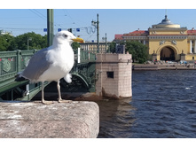 IMG 20250615 163055.jpg