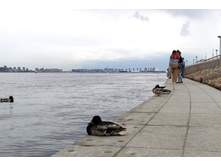 IMG 20250611 155126.jpg