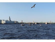 IMG 20250615 183201.jpg