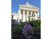 IMG 20250614 162123.jpg