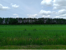 20250612 ������-600 ���������� 121445.jpg