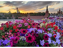 IMG 20250616 203455.jpg