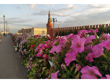 IMG 20250616 202044.jpg