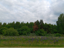 20250612 ������-600 ���������� 182427.jpg