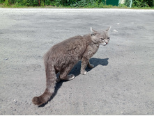 20250629 ����� ����� 122415.jpg