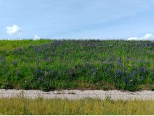 20250612 ������-600 ���������� 085352.jpg