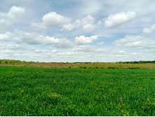 20250629 ����� ����� 131920.jpg