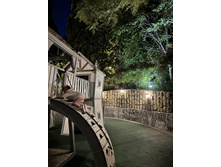 2025-07-07 07-44-58 (10).jpeg