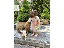 2025-07-07 07-44-58 (15).jpeg