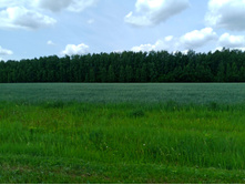 20250612 ������-600 ���������� 122255.jpg