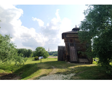 IMG 20250609 165951.jpg