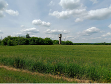 20250612 ������-600 ���������� 134715.jpg