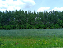 20250612 ������-600 ���������� 122826.jpg