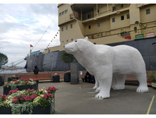 IMG 20250613 184246.jpg