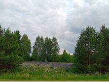 20250612 ������-600 ���������� 182326.jpg