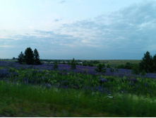 20250612 ������-600 ���������� 203659.jpg