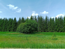 20250612 ������-600 ���������� 124302.jpg